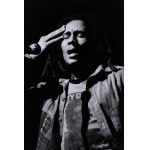 Allan Tannenbaum (ur. 1945), Bob Marley, 1976
