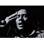 Allan Tannenbaum (ur. 1945), Bob Marley, 1976