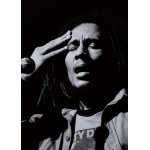 Allan Tannenbaum (born 1945), Bob Marley, 1976