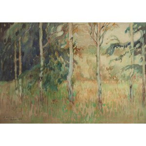 Apoloniusz Kędzierski (1861 Suchedniów - 1939 Warsaw), Landscape from Lubienica, 1928