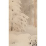 Maciej Nehring (1901 Warsaw - 1977), Winter Landscape