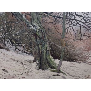 Wojciech Pater (alias Fladrif), Wild Trees. Bystrzyckie Mountains 2, 2018.