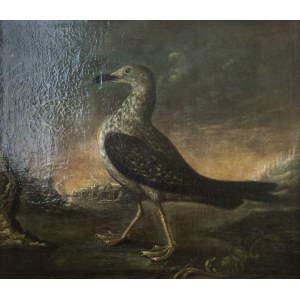 Author not identified, Seagull, 1755
