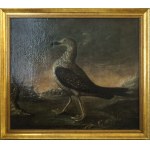 Autor unbekannt, Möwe, 1755