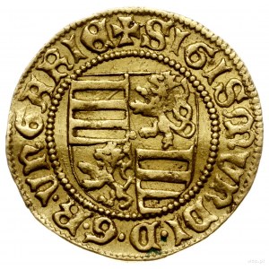 goldgulden bez daty (1436-1437), Krzemnica, mincerz Nof...