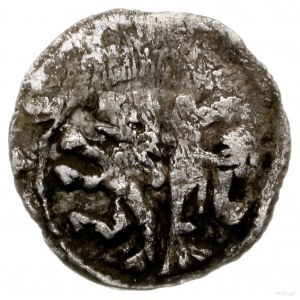 denar ok. 1320 r.; Aw: Korona lekko rozchylona i napis ...