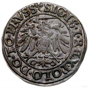 grosz 1540, Elbląg; na awersie PRVSS kończy napis; Kop....
