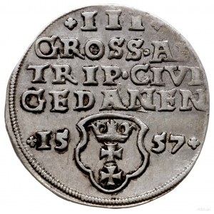 trojak 1557, Gdańsk; popiersie króla w obwódce; Iger G....