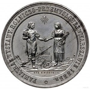 medal z 1885 r. autorstwa Franciszka Witkowskiego (wars...
