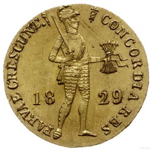 dukat 1829, Utrecht; Fr. 331, Schulman 213; złoto 3.50 ...