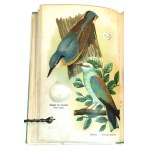 DYAKOWSKI - POISONING BIRDS AND THEIR EYES 25 color plates