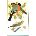 DYAKOWSKI - POISONING BIRDS AND THEIR EYES 25 color plates