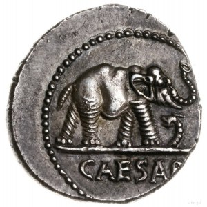 denar 49-48 pne, Rzym; Aw: Słoń kroczący w prawo, tratu...