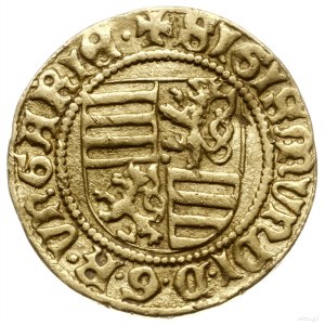 goldgulden 1431-1437, mennica Krzemnica, mincerz Hethar...