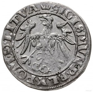 grosz 1536, Wilno; odmiana z literką F pod Pogonią, koń...