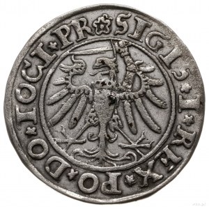 grosz 1534, Elbląg; z końcówką napisu na awersie TOCI P...