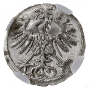 denar 1554, Wilno; Cesnulis-Ivanauskas 2SA12-6, Kop. 32...