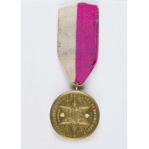 Badge/Medal Star of Perseverance.