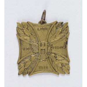 Commemorative badge Section I of the Defense of Lviv.