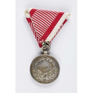 Medaille FORTITVDINI Karl I.