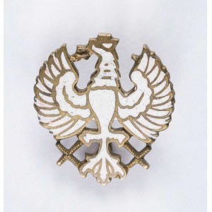 Patriotic eagle on a pin