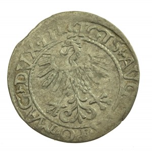Zygmunt II August, Półgrosz 1561 Wilno