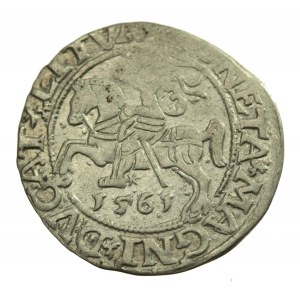 Sigismund II Augustus, Half-penny 1561 Vilnius