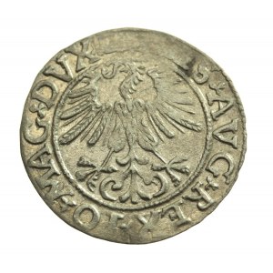 Sigismund II. Augustus, Halbpfennig 1561 Wilna