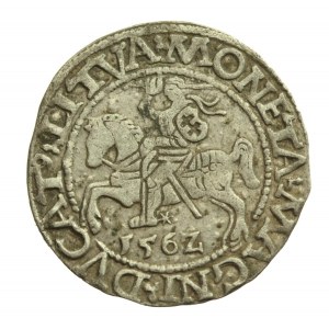 Sigismund II. Augustus, Halbpfennig 1562 Wilna