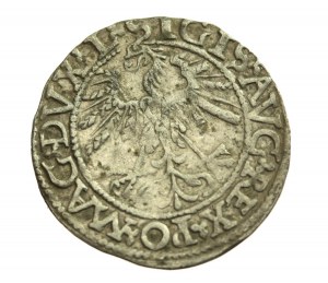Zygmunt II August, Półgrosz 1562 Wilno