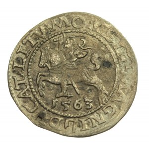 Sigismund II. Augustus, Halbpfennig 1563 Wilna