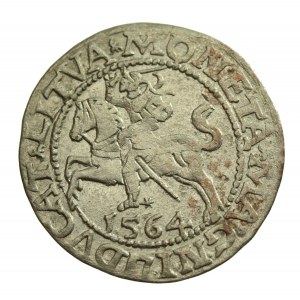 Sigismund II. Augustus, Halbpfennig 1564 Wilna