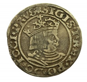 Zygmunt I Stary, Grosz 1530, Toruń (307)