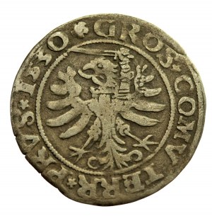 Sigismund I the Old, 1530 penny, Torun (307)