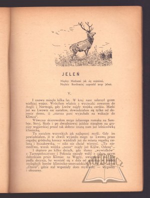 WACEK Rudolf, Darz bór. Hunting memories.