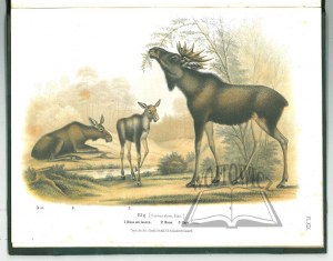 (ATLAS of Mammals). Atlas õfver Skandinaviens Däggdjur.