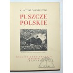 CUDA Polski. OSSENDOWSKI F. Antoni - Puszcze Polskie.