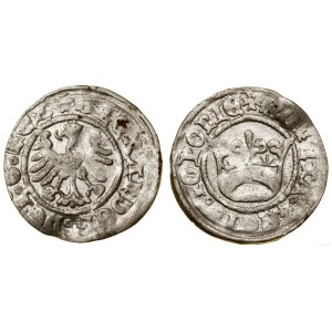 Polen, Kronen-Halbpfennig, ohne Datum (1502-1506), Krakau