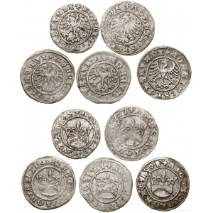 Poland, set of 5 x half-penny, Cracow