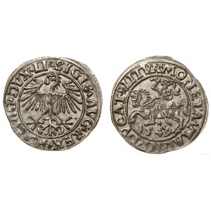 Polska, półgrosz litewski, 1549, Wilno