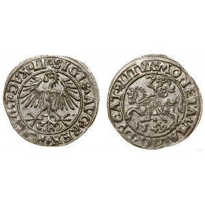 Polen, litauischer Halbpfennig, 1549, Vilnius