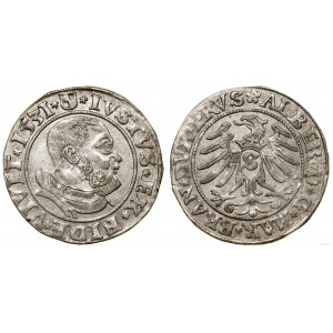 Prusy Książęce (1525-1657), grosz, 1531, Królewiec