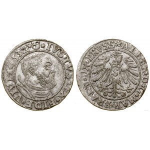 Ducal Prussia (1525-1657), penny, 1532, Königsberg