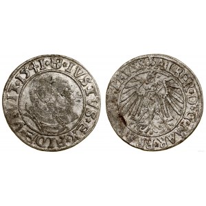 Ducal Prussia (1525-1657), penny, 1541, Königsberg