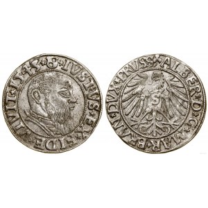 Prusy Książęce (1525-1657), grosz, 1543, Królewiec