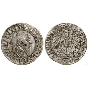 Prusy Książęce (1525-1657), grosz, 1545, Królewiec