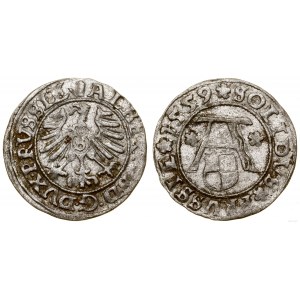 Prusy Książęce (1525-1657), szeląg, 1559, Królewiec