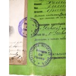 Weichsel-Eisenbahn [Strzemieszyce] Ausweis eines Familienangehörigen eines Bahnangestellten