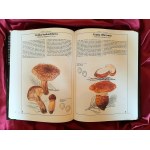 SVRCEK Mirko, VANCURA Bohumil - Mushrooms of Central Europe (magnificent illustrated atlas)