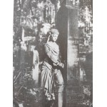 Niceja Stanisław Sławomir - Cmentarz Łyczakowski we Lwowie w latach 1786-1986